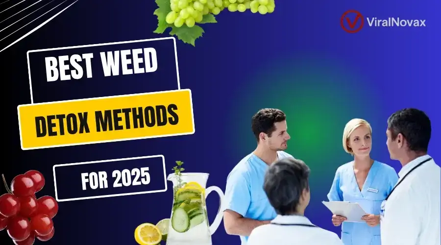 Best Weed Detox Methods for 2025 What Actually Works