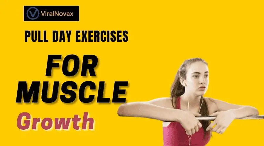 Effective Pull Day Exercises for Muscle Growth